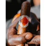 Handmade premium cigar size Robusto held by hand