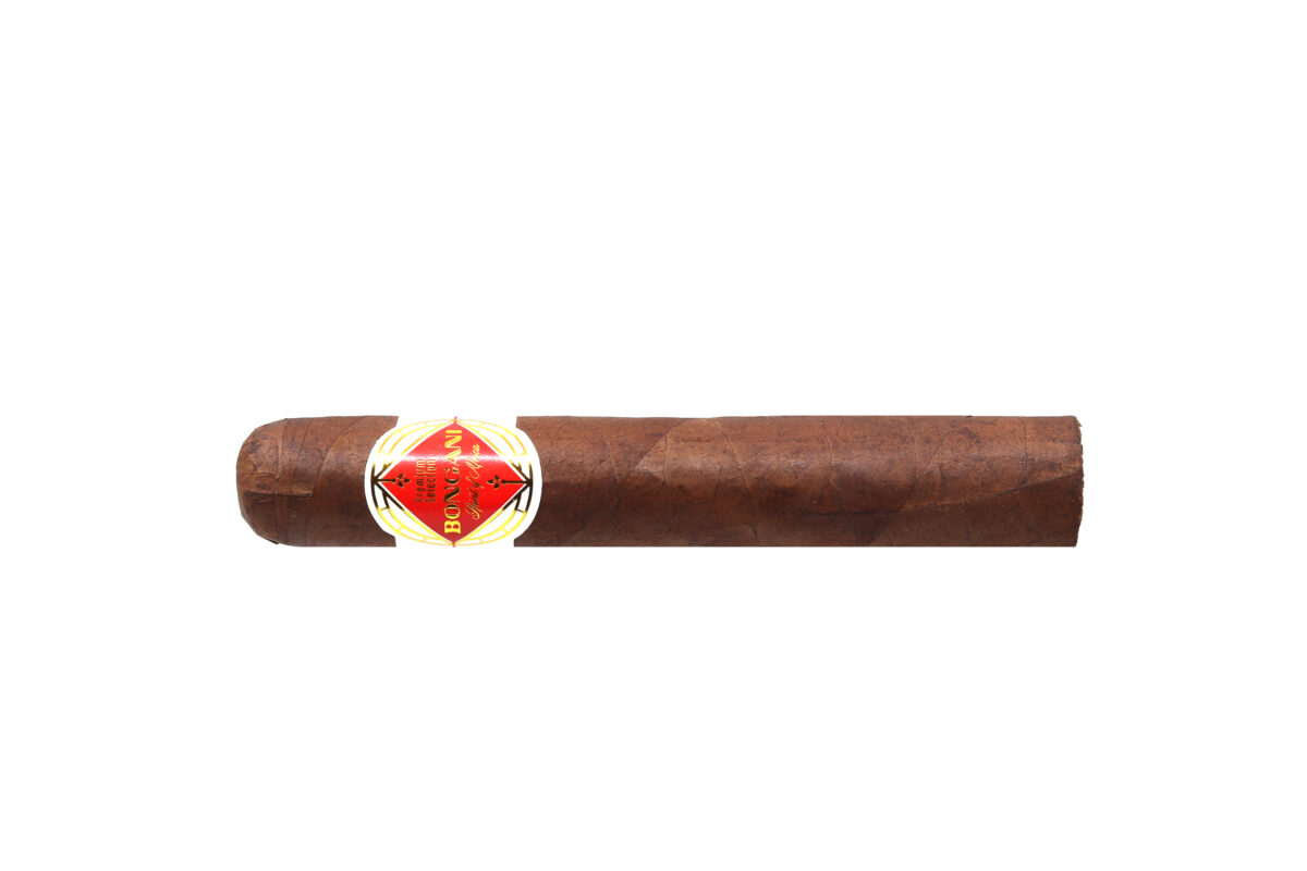 Bongani handmade premium cigar size Robusto on white background