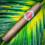 Bongani handmade premium cigar size Robusto on leaf background